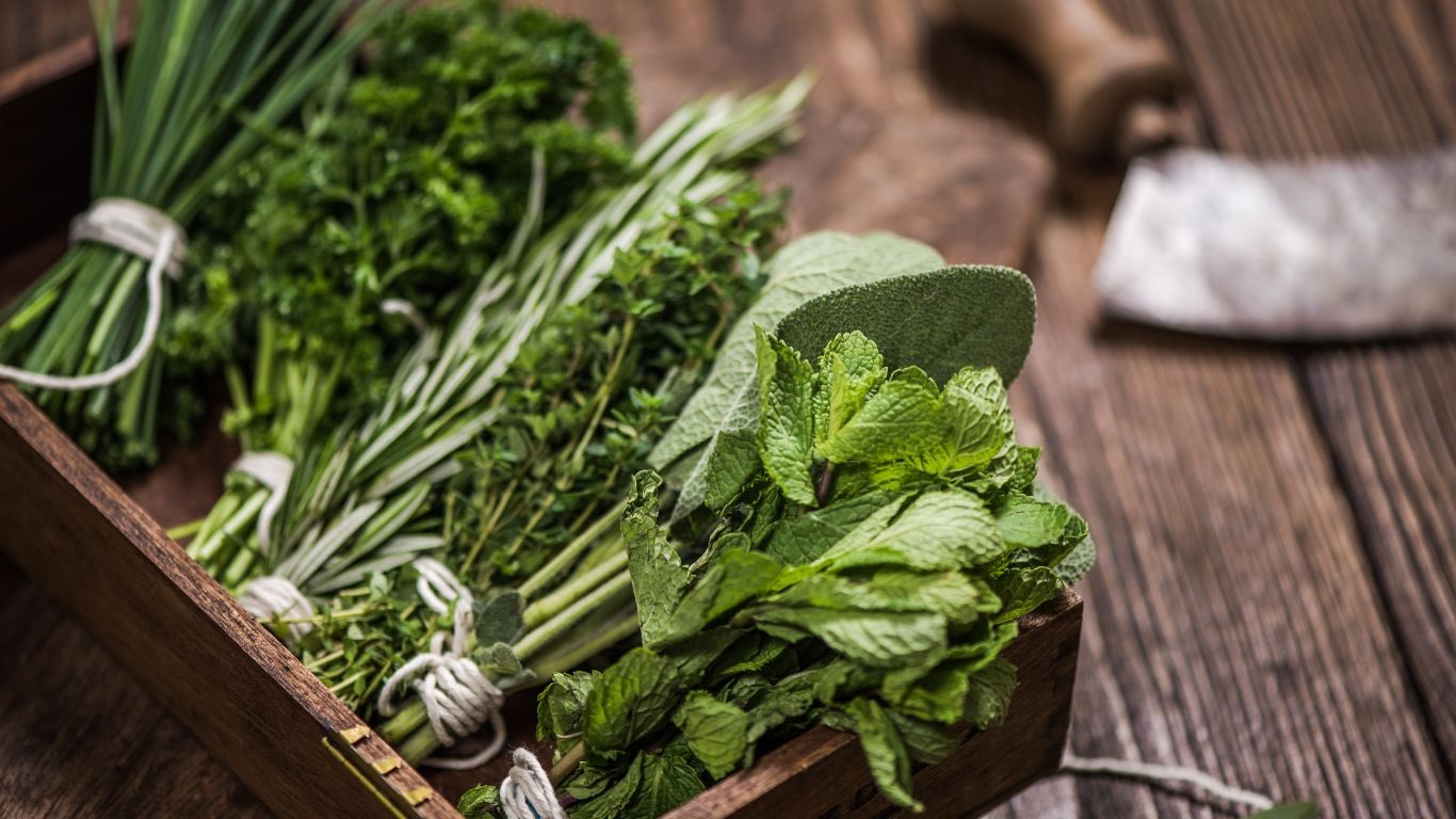 Les herbes aromatiques permettent de réduire la quantité de sel utilisé pour assaisonner son assiette, varier les saveurs et bénéficier des vertus des plantes utilisées.